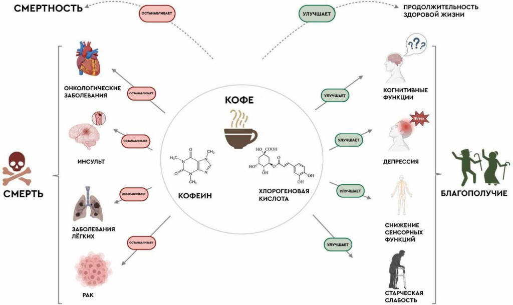 Фото и ведущий