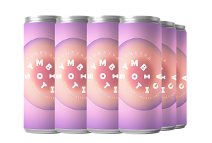 Напиток в банках "Комбуча бузина+черная смородина Symbiotica" (12 шт)