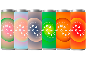 Напиток в банках "Ассорти Комбучи 6 вкусов Symbiotica" (12 шт)