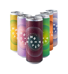Напиток в банках "Ассорти Комбучи 6 вкусов Symbiotica" (6 шт)