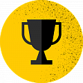 Награды на чемпионатах